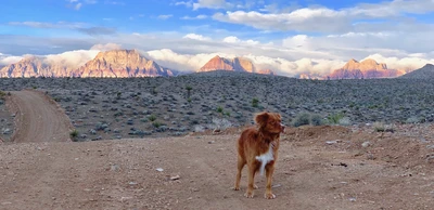 FLO Gravel Wheel Design Journey Part 1 - What Makes A Great Gravel Wheel?