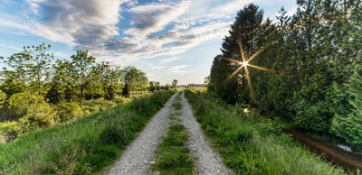 FLO Gravel Wheel Design Journey Part 4 - Casing Tension Study with Union University