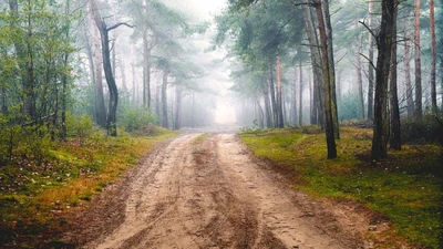 FLO Gravel Wheel Design Journey Part 6 - On-Road Testing, Where to Begin