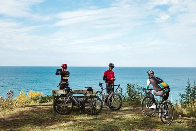 Where Did The Clydesdales Go?