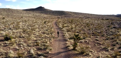 Five Reasons To Get FLO All Sport Wheels