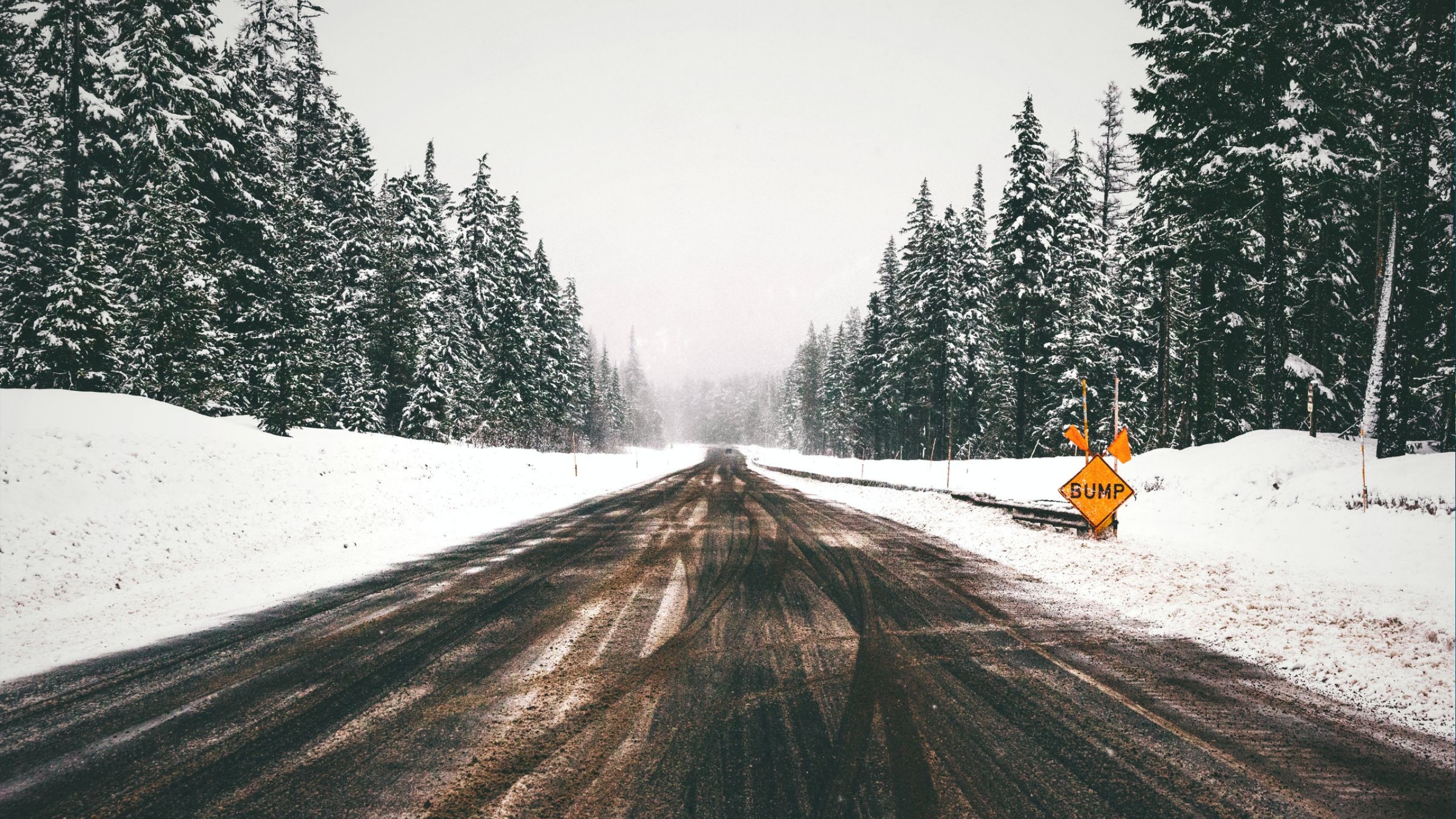 Road Cycling Wheels For Winter Riding